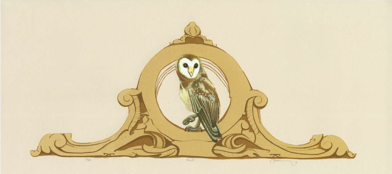 Joanne Madeley - Barn Owl