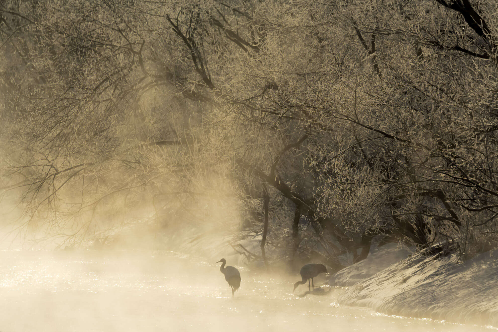 Kevin and Sheryl Photography - Morning Glow