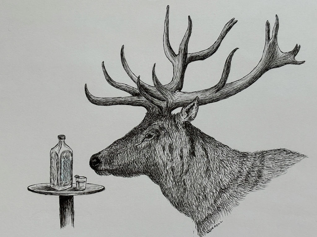 Art by Caitlin Wooll - Shot