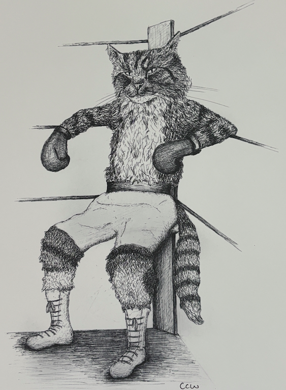 Art by Caitlin Wooll - Southpaw