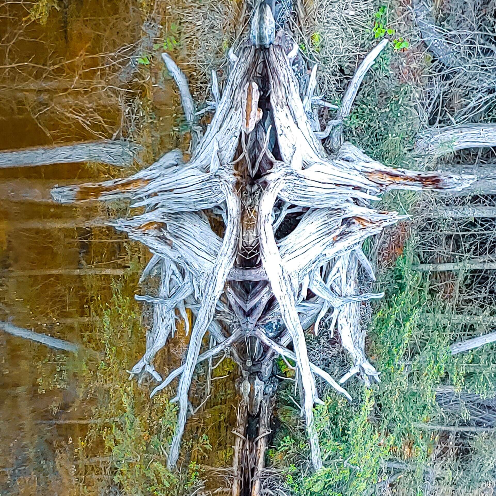 NatureReflected - Happiness