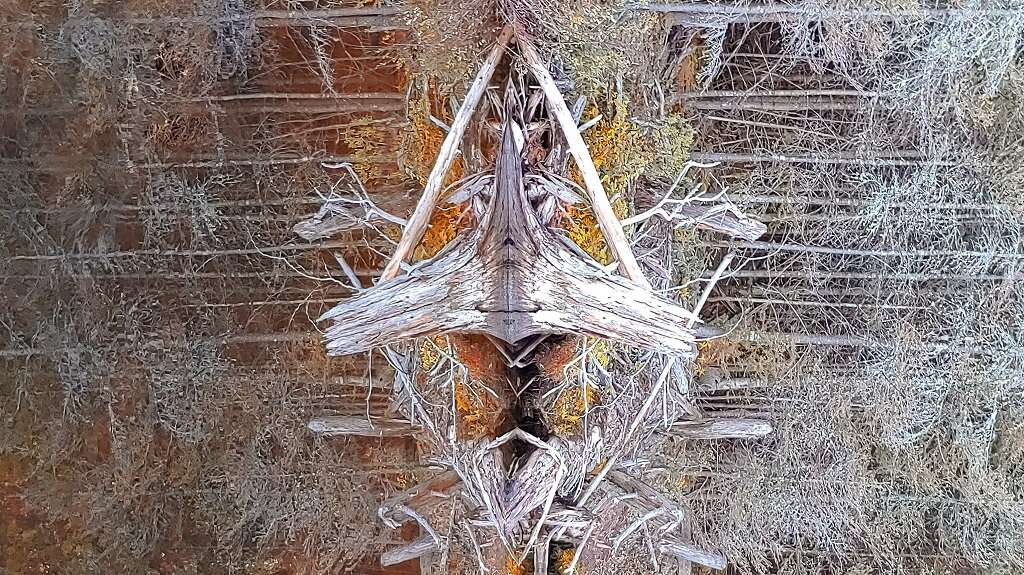 NatureReflected - Tranquility