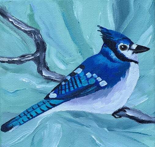 Jill Sapiente - Bluejay Day