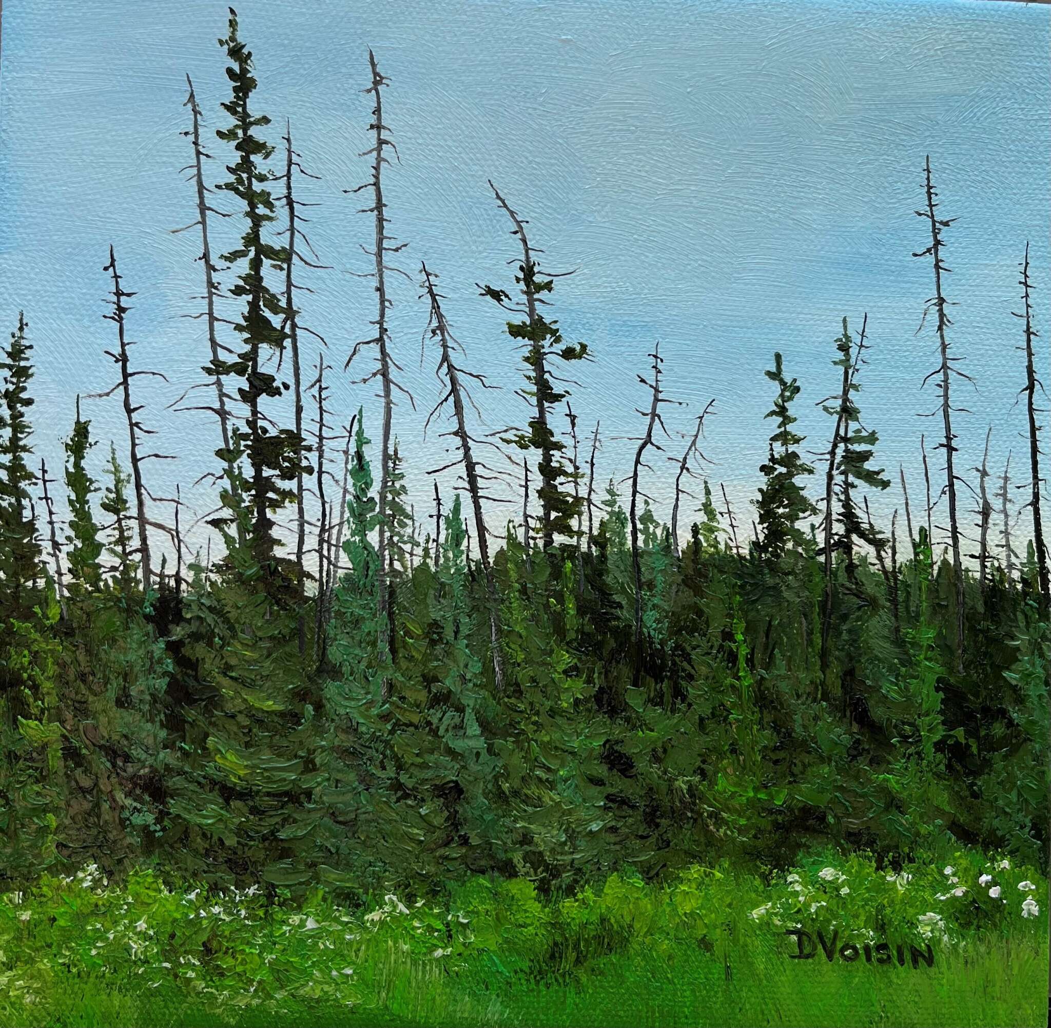 Donna Voisin - Regrowth