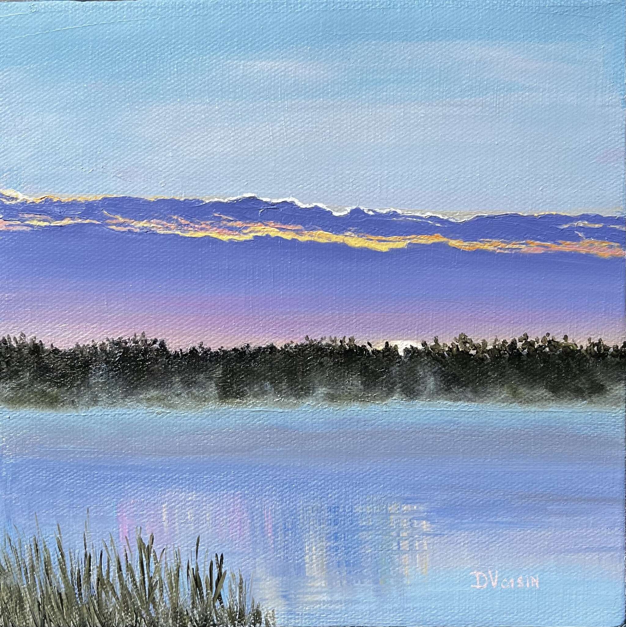 Donna Voisin - Rim Light