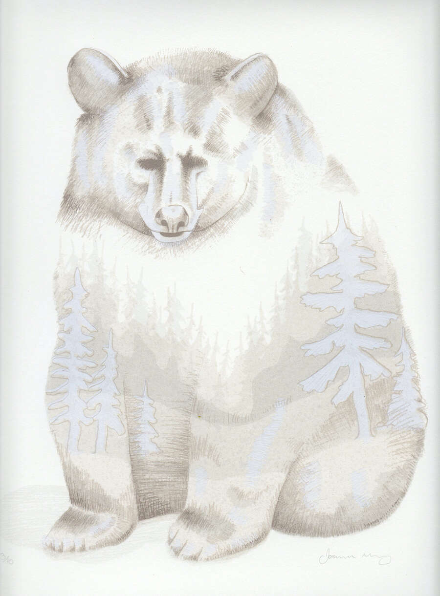 Joanne Madeley - Bear