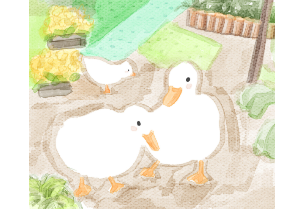 Title: Two Duckies