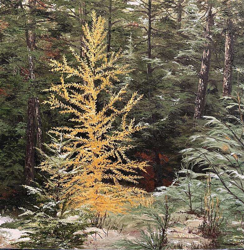 Donna Voisin - Strong and Serene