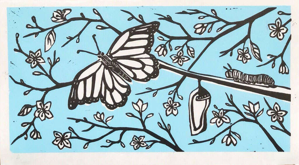 Jessica Szaszi - The Caterpillar