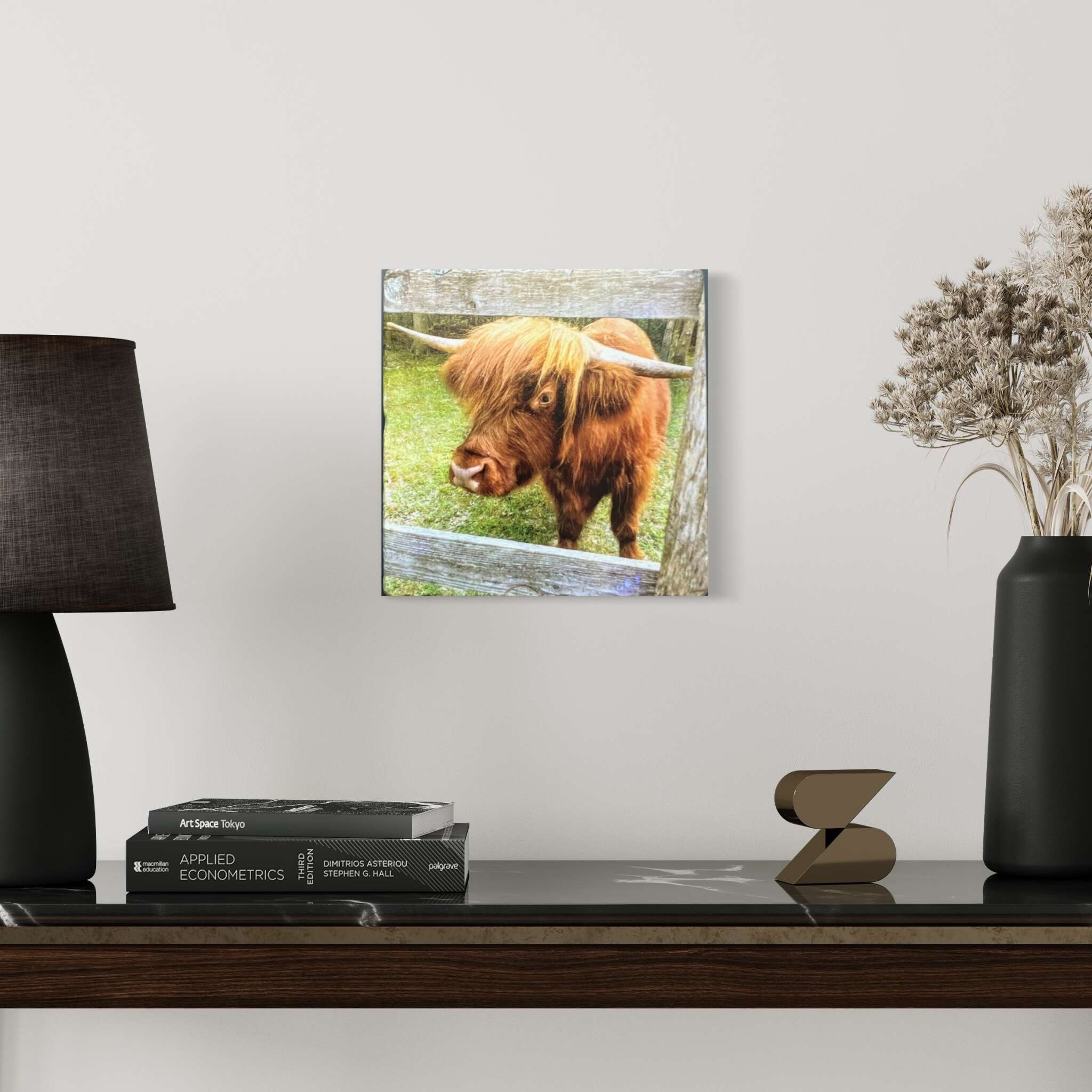 Scarfone Imaging - Highland cow
