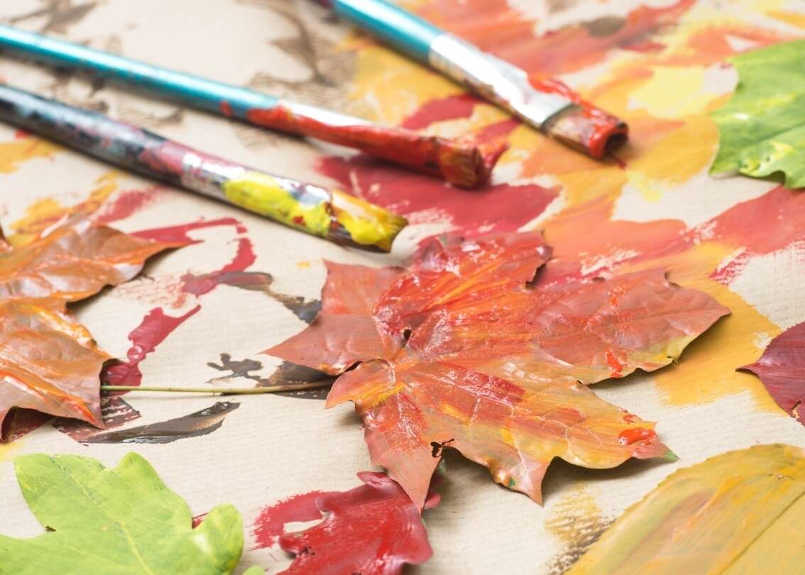 November 2025 Newsletter